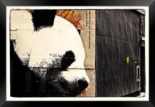 The Glasgow panda Framed Print by jane dickie