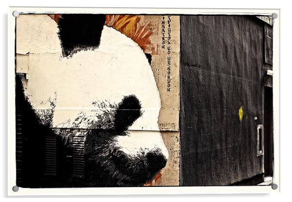 The Glasgow panda Acrylic by jane dickie
