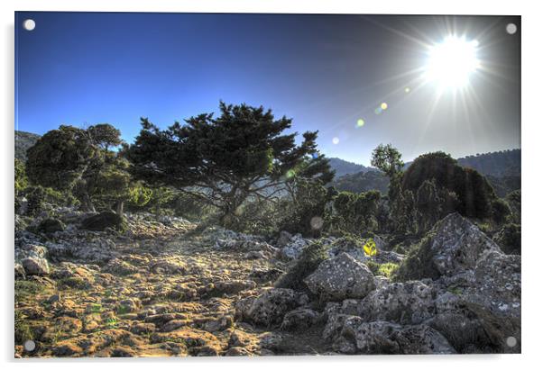 Cretan Sun Acrylic by Oliver Porter