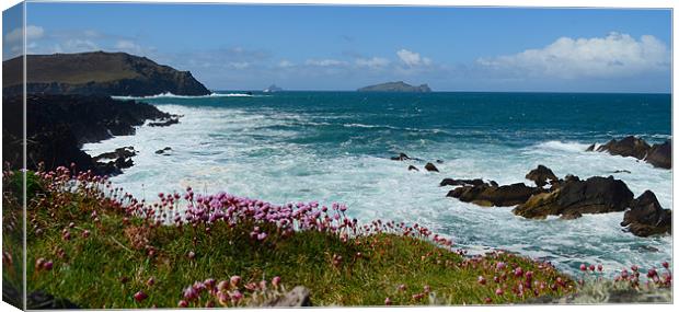 View of the Blasket Islands Canvas Print by barbara walsh