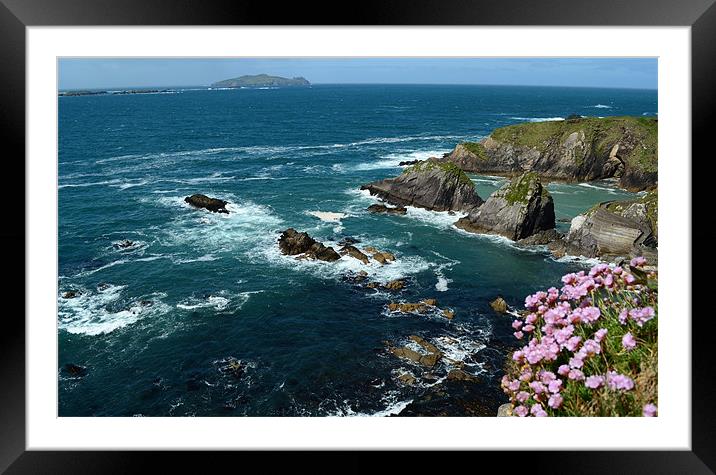 View from Dunquin Pier Framed Mounted Print by barbara walsh