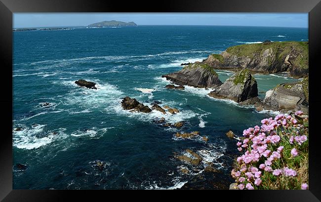 View from Dunquin Pier Framed Print by barbara walsh