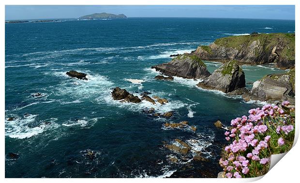View from Dunquin Pier Print by barbara walsh