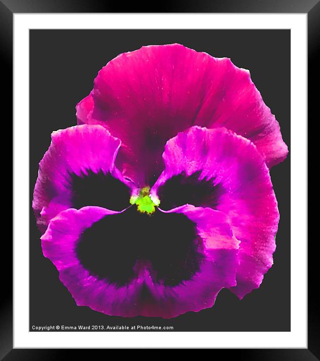 Begonia Love Collection 4 Framed Mounted Print by Emma Ward
