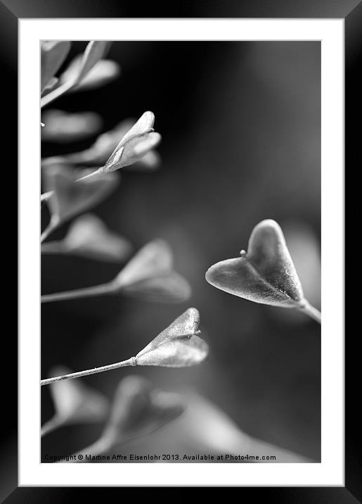 Black and white capsella Framed Mounted Print by Martine Affre Eisenlohr