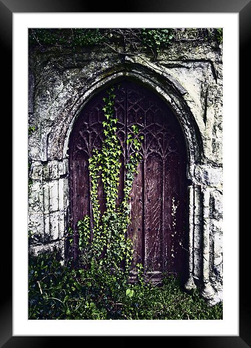 Door To Another World Framed Mounted Print by Darren Burroughs