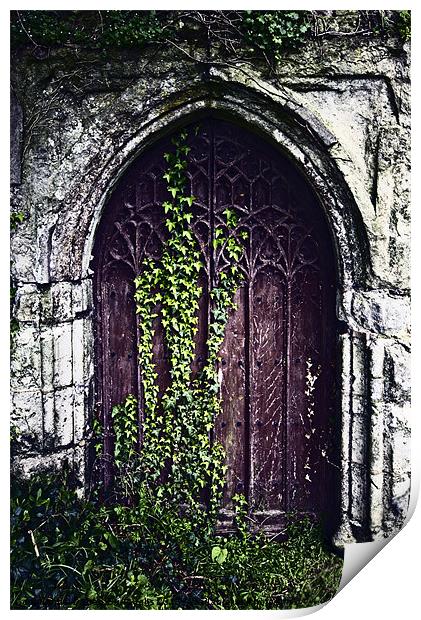 Door To Another World Print by Darren Burroughs
