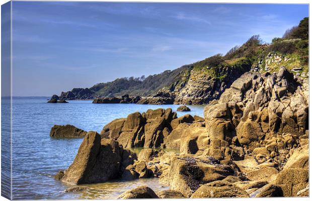 Rugged Coast Canvas Print by Tom Gomez