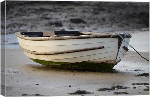 Waiting for high tide Canvas Print by Gary Pearson