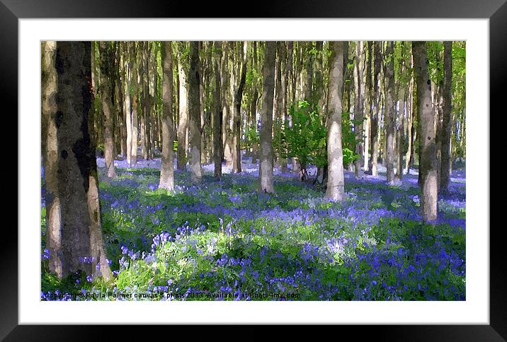 Spring bluebells 4 Framed Mounted Print by Paula Palmer canvas
