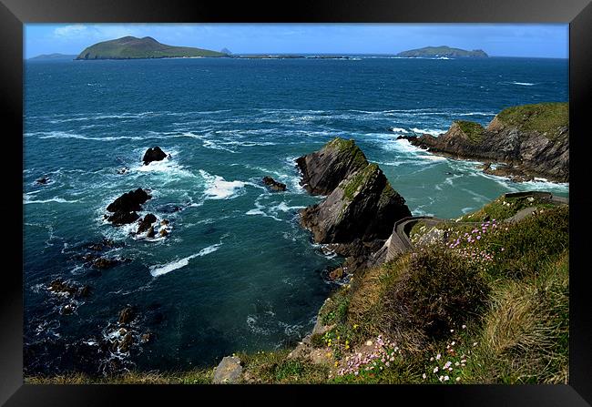 Blasket Islands Framed Print by barbara walsh