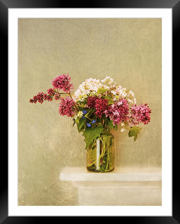 Bringing a bit of spring inside Framed Mounted Print by Dawn Cox