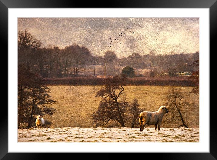 Standing watch Framed Mounted Print by Dawn Cox