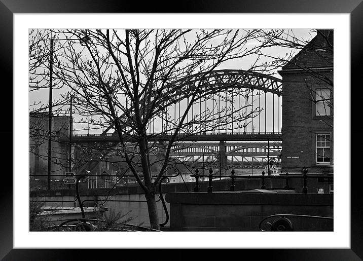 Tyne Bridge Framed Mounted Print by Edward Budd