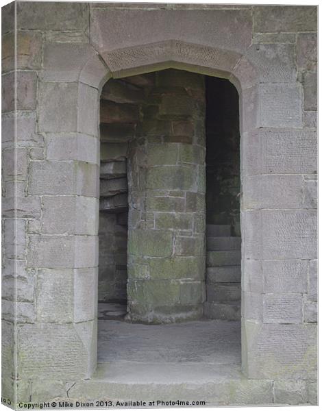 Darwen Tower stone stairway entrance Canvas Print by Mike Dickinson
