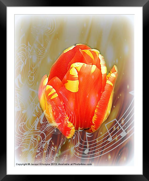 Flower Music Framed Mounted Print by Jacqui Kilcoyne