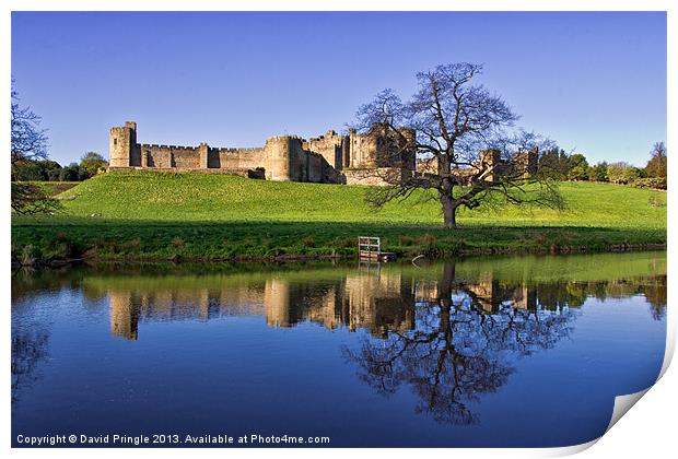 Alnwick Castle Print by David Pringle