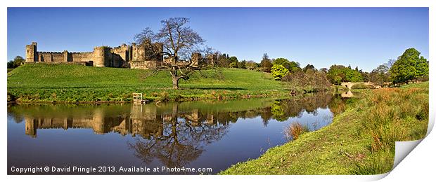 Alnwick Castle Print by David Pringle