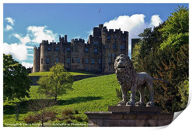 Alnwick Lion Print by David Pringle