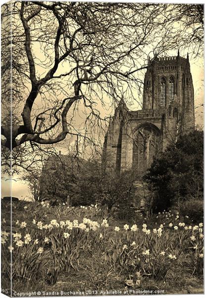 Liverpool Anglican Cathedral Sepia Canvas Print by Sandra Buchanan