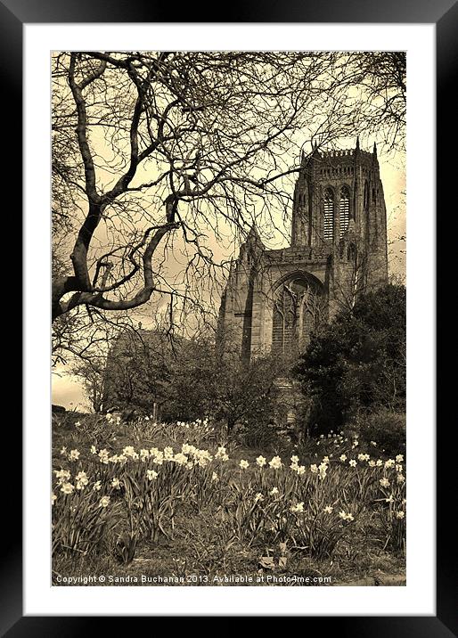 Liverpool Anglican Cathedral Sepia Framed Mounted Print by Sandra Buchanan