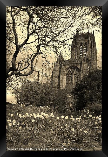 Liverpool Anglican Cathedral Sepia Framed Print by Sandra Buchanan