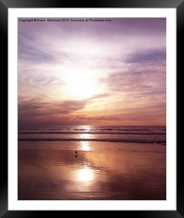 Sunset at Santa Monica Framed Mounted Print by Diane  Mohlman