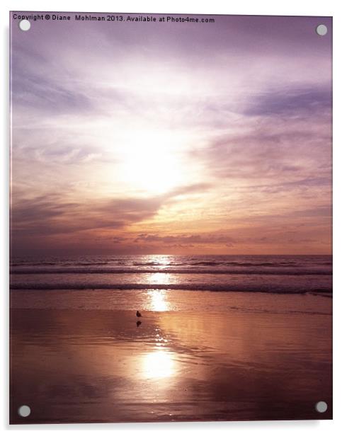 Sunset at Santa Monica Acrylic by Diane  Mohlman