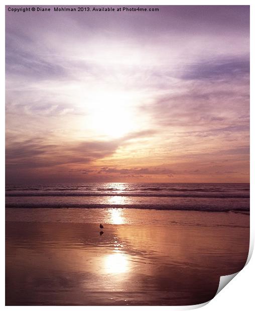 Sunset at Santa Monica Print by Diane  Mohlman