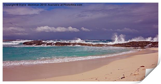 Paradise Island, Bahamas Print by Diane  Mohlman