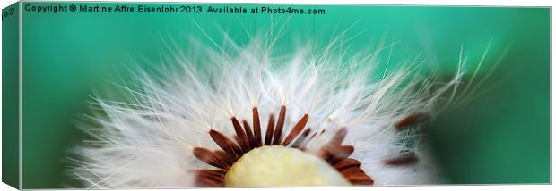 Sow thistle seeds Canvas Print by Martine Affre Eisenlohr