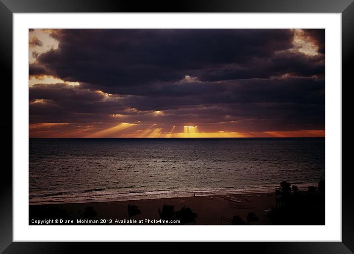 Sunset over Miami Beach Framed Mounted Print by Diane  Mohlman