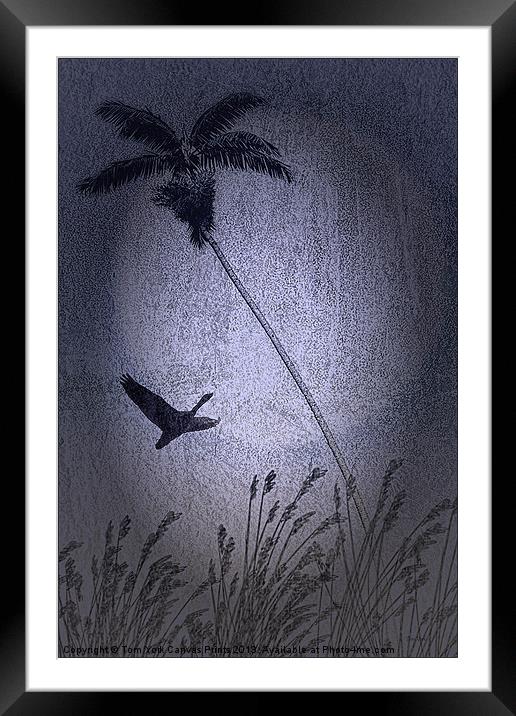 AMONG THE PALMS Framed Mounted Print by Tom York