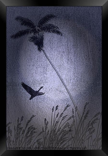 AMONG THE PALMS Framed Print by Tom York