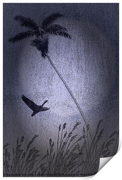AMONG THE PALMS Print by Tom York