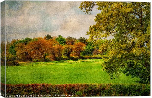 Trees of Colour. Canvas Print by Julie Coe