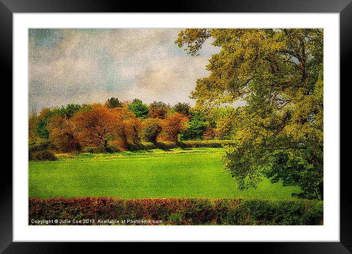 Trees of Colour. Framed Mounted Print by Julie Coe