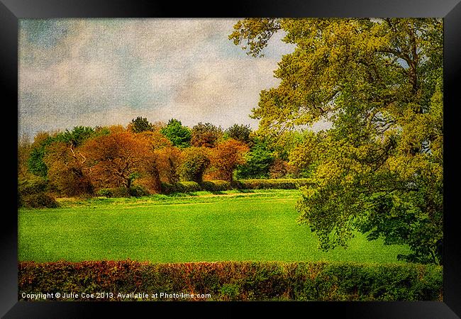 Trees of Colour. Framed Print by Julie Coe