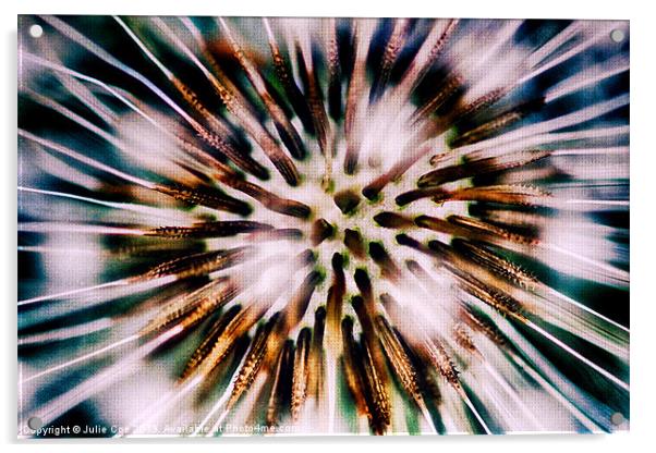 Dandelion Texture Acrylic by Julie Coe