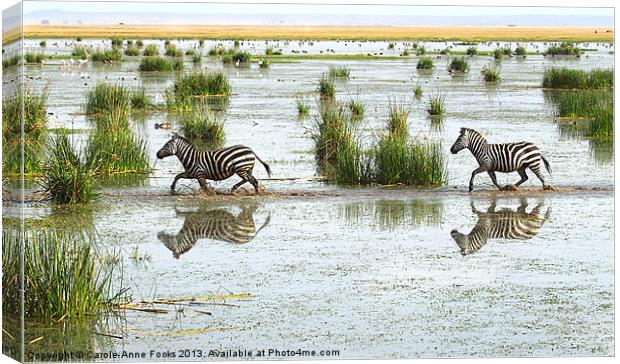 Zebra Crossing Kenya Canvas Print by Carole-Anne Fooks