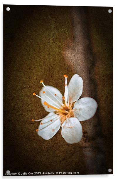 Beautiful Blossom Acrylic by Julie Coe