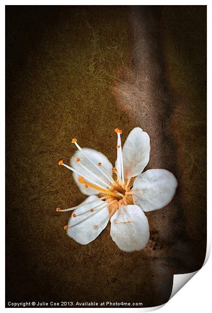 Beautiful Blossom Print by Julie Coe