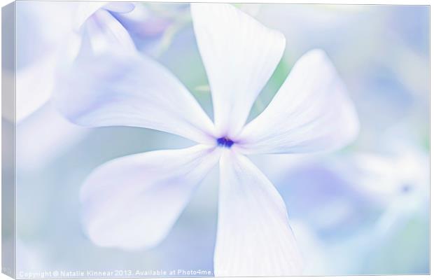 Floral in Pastel Tones of Blue Canvas Print by Natalie Kinnear