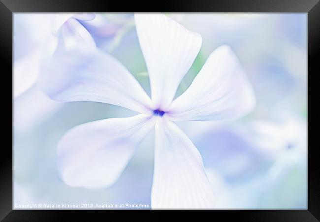 Floral in Pastel Tones of Blue Framed Print by Natalie Kinnear