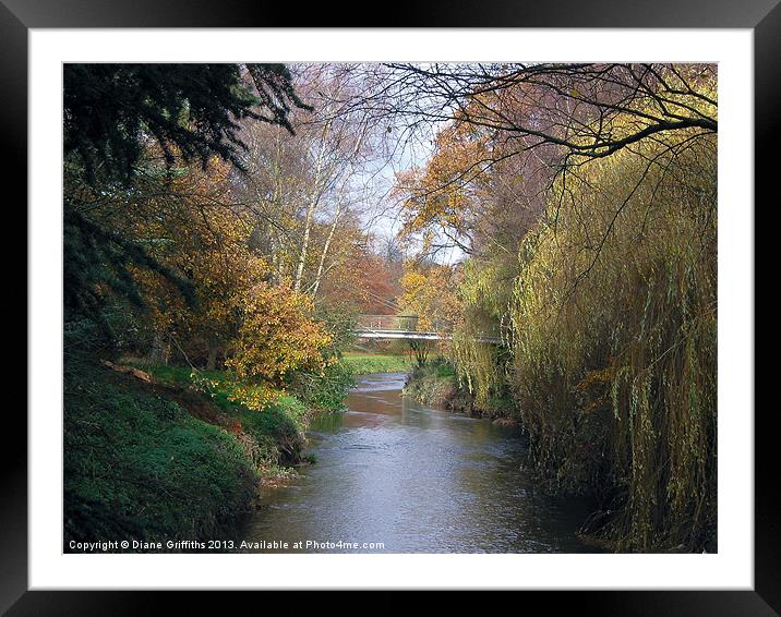 View near Trentham Gardens Framed Mounted Print by Diane Griffiths