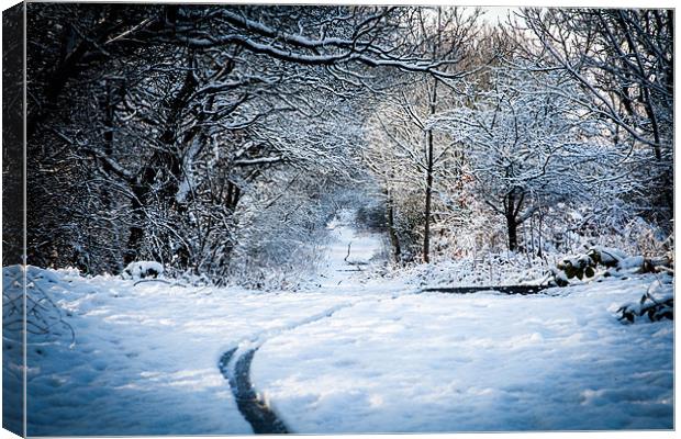 Durham winter scene Canvas Print by Kevin Duffy
