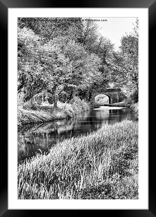 Spring Time Canal BW Framed Mounted Print by Brian  Raggatt