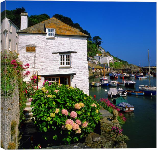 Old Watch House & Polperro Harbour Canvas Print by Darren Galpin