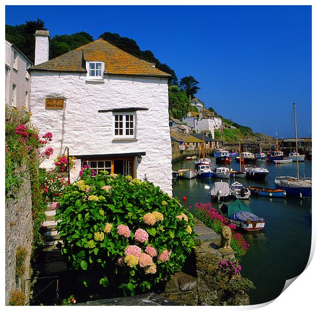 Old Watch House & Polperro Harbour Print by Darren Galpin