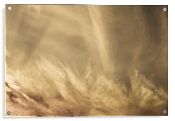 Coffee Clouds Acrylic by David Pyatt